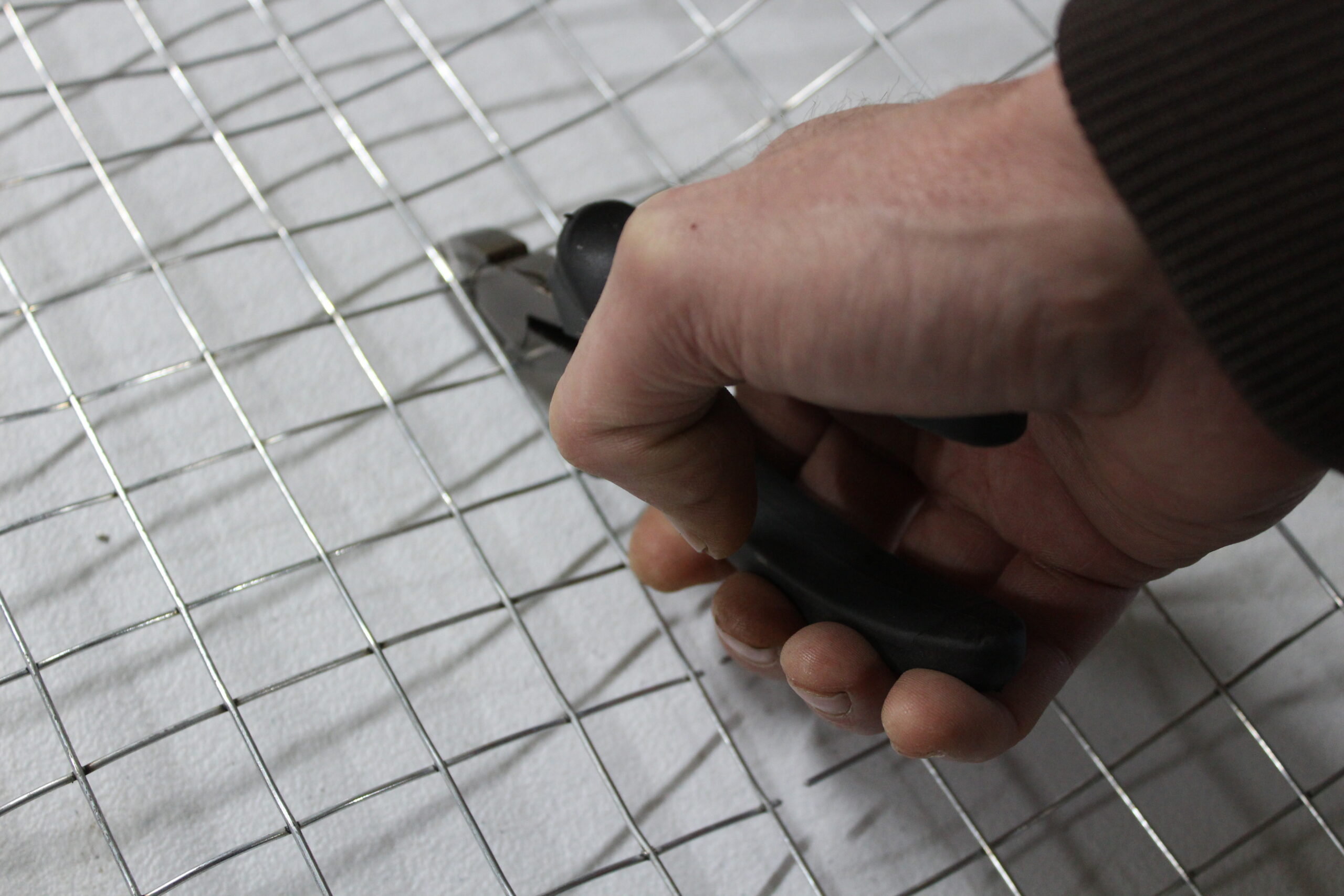 Cutting cage wire for a collapsible colony trap as part of DIY muskrat sets