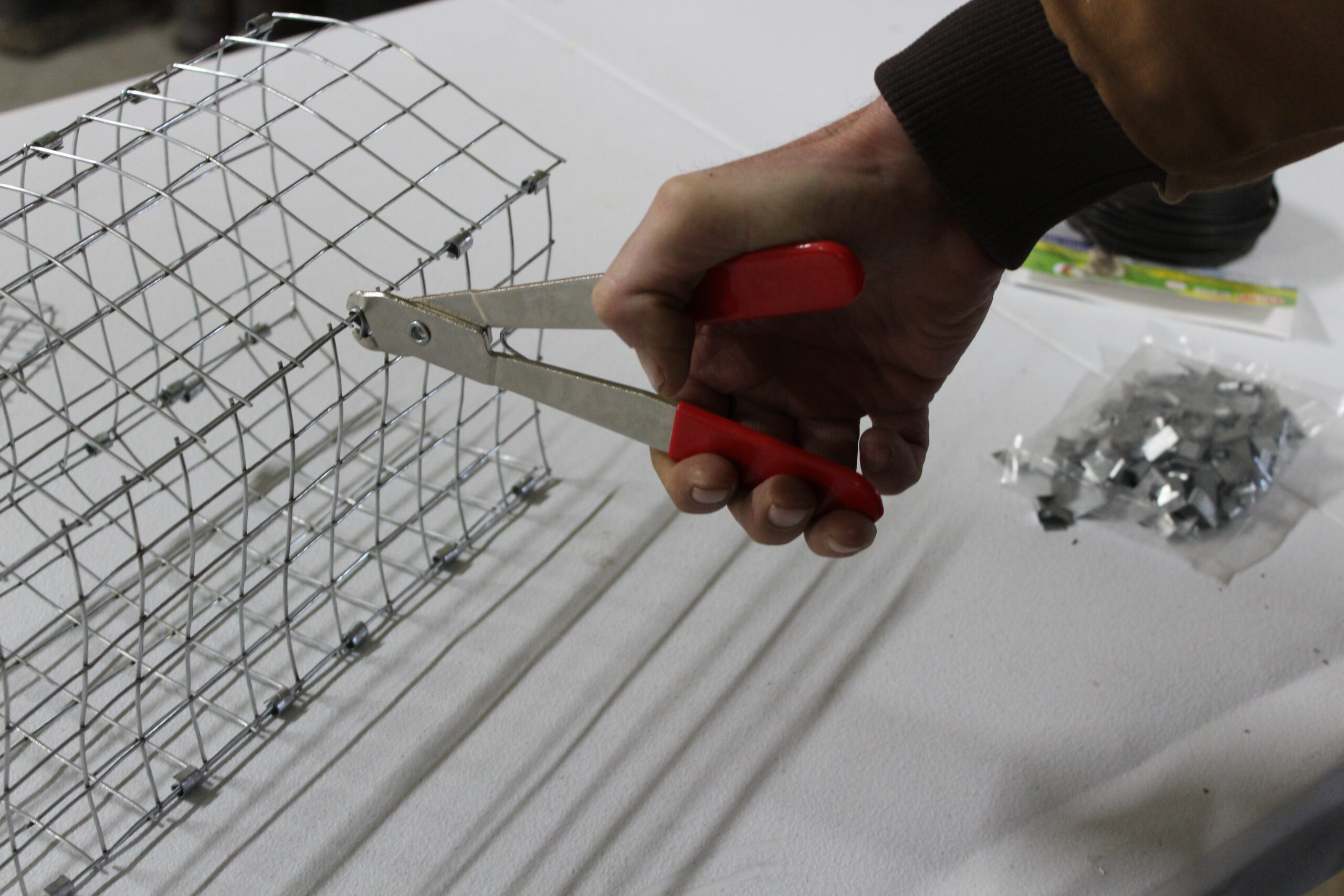 Assembling a collapsible colony trap from two clipped wire V sections