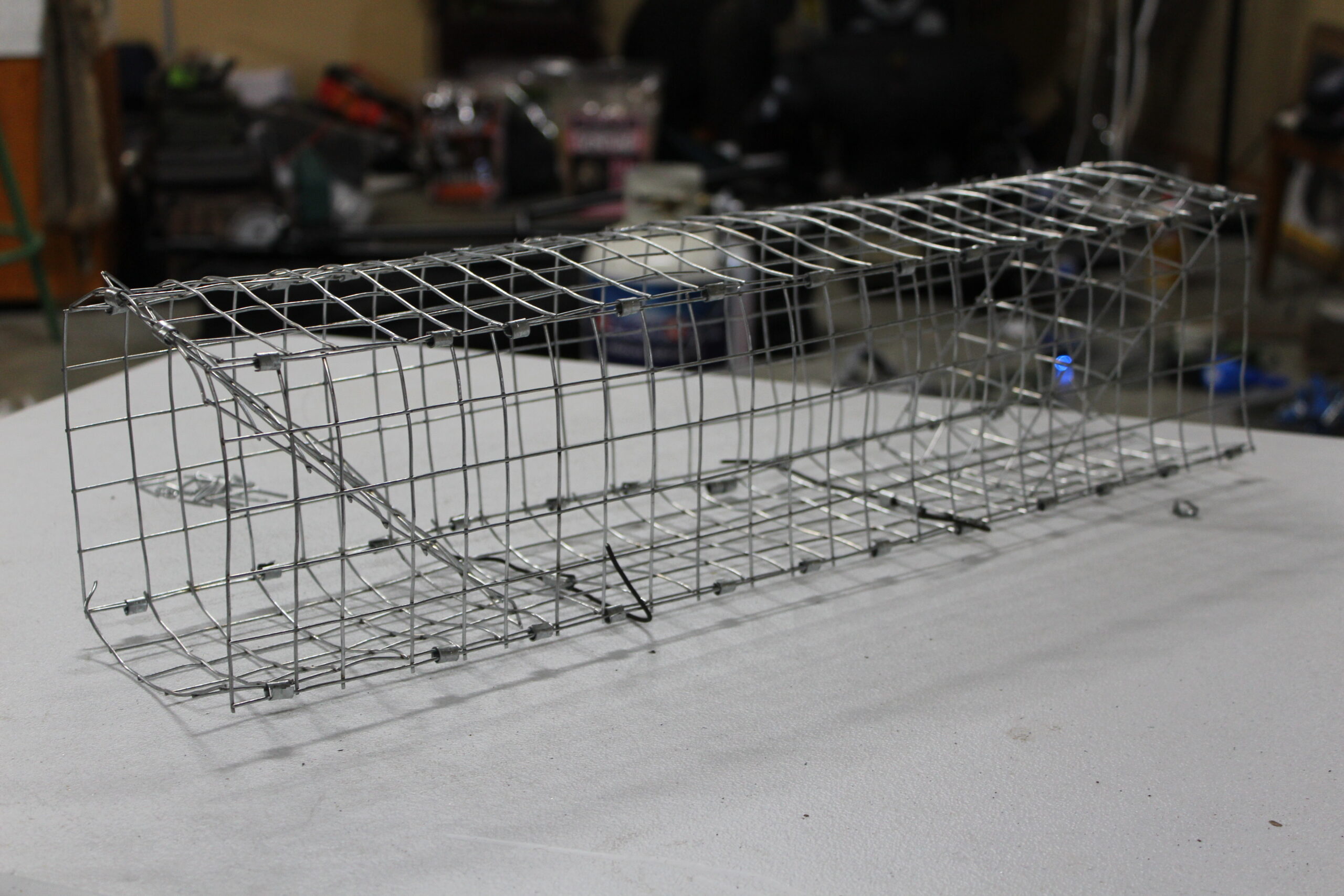 Finished collapsible colony trap for DIY muskrat sets
