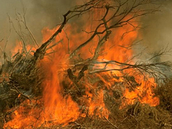 Brush Fire (file / credit: clipart.com)