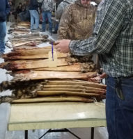 Fur Market Report October 2024: Planning the Season with Wary Anticipation