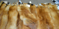 Fur Market Report December 2024: December’s Ups and Downs