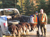Fur Market Report January 2025: New Year, New Outlooks