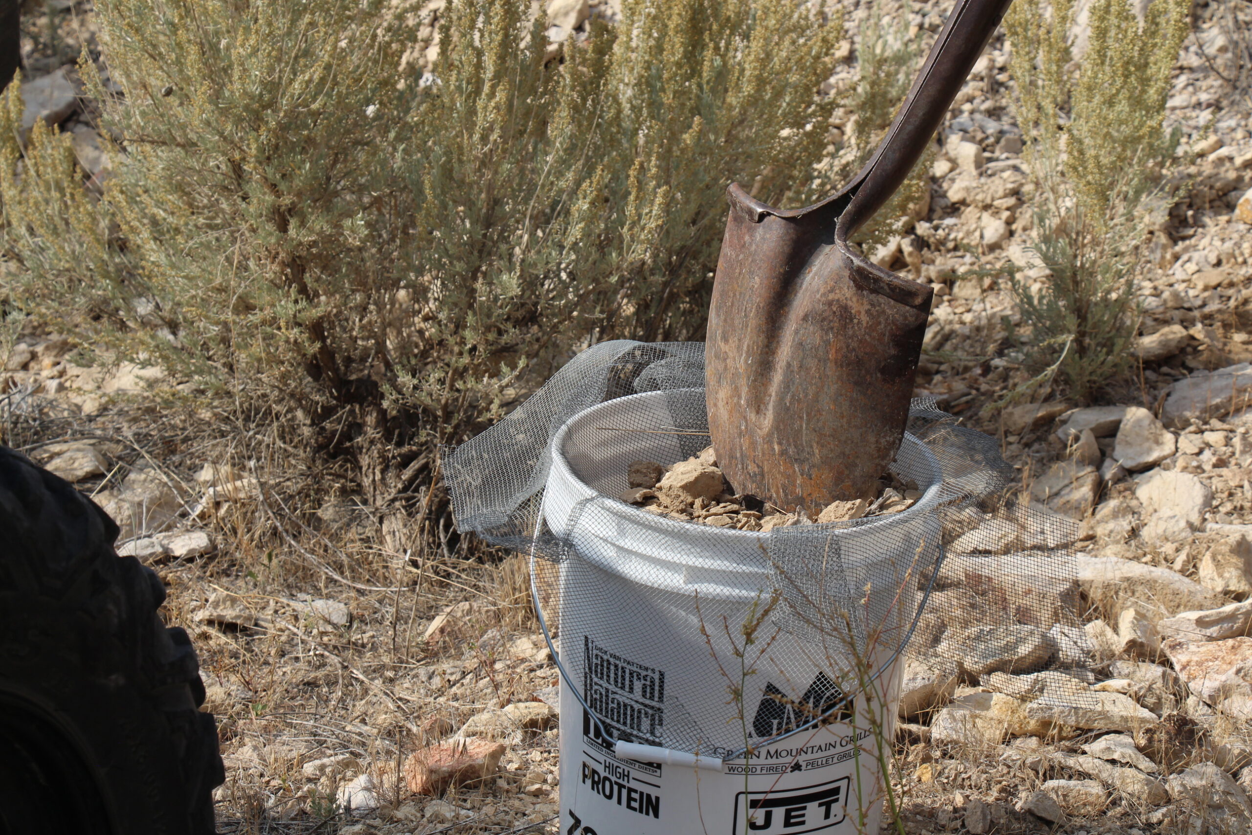 Sifting dirt through metal screen to prepare waxed dirt for trapping