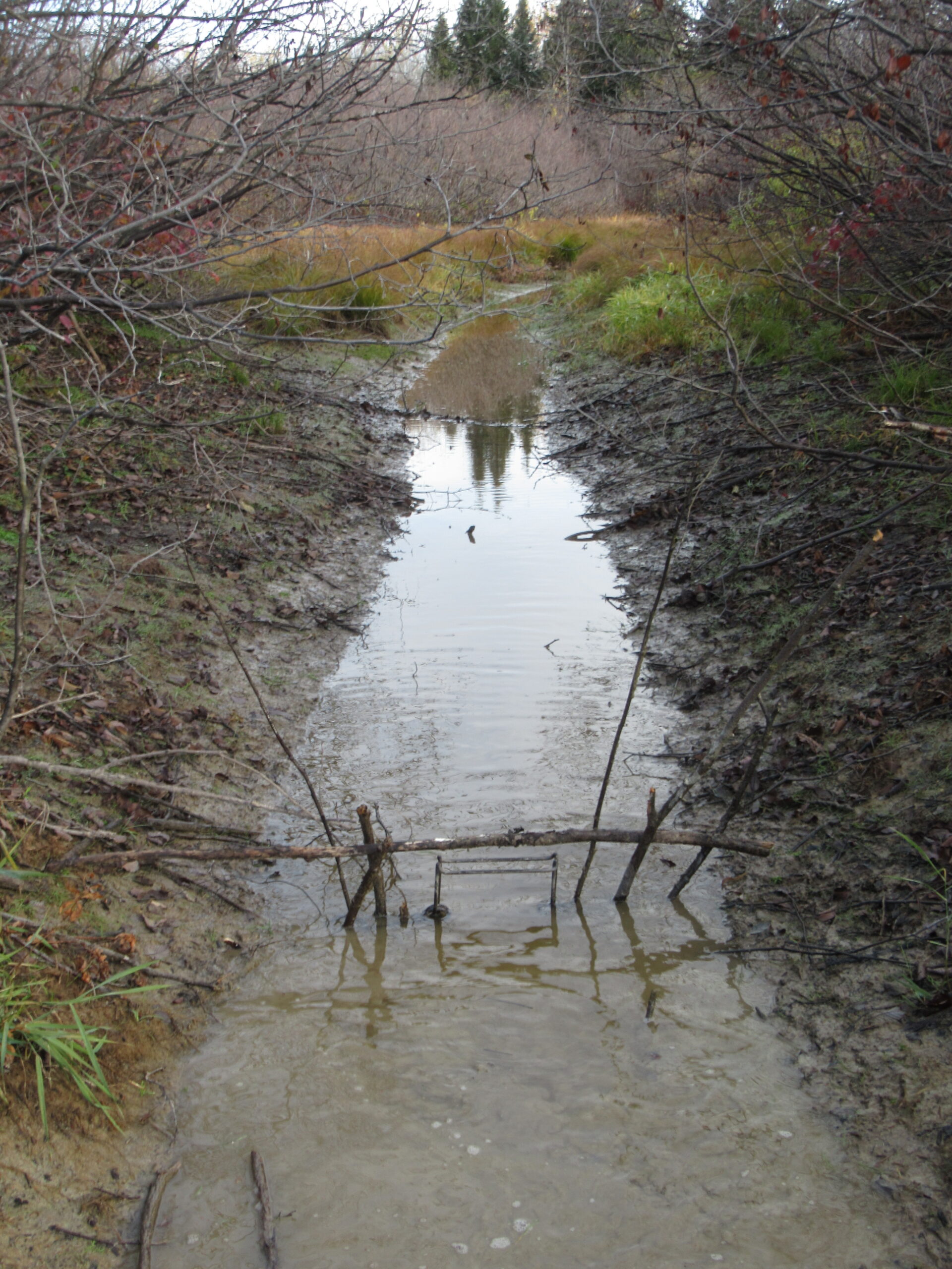 guide sticking trapping trail set